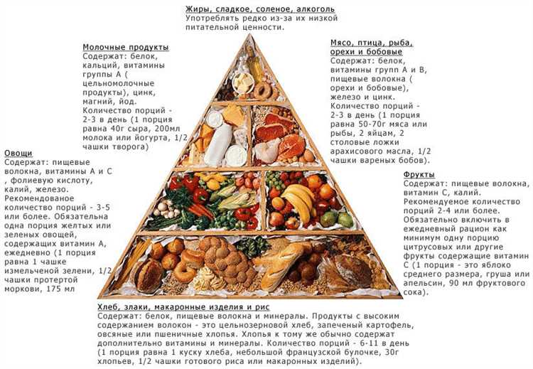 Диета без мяса: можно ли получить все необходимые питательные вещества?