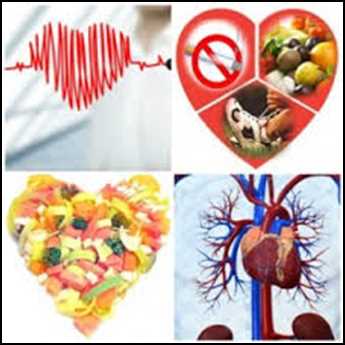Диета для кардиологических заболеваний: рацион для охраны сердечно-сосудистой системы