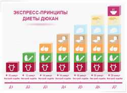 Диета Дюкана: принципы и достижение желаемой фигуры