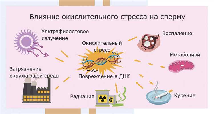 4. Поддержание здоровья глаз