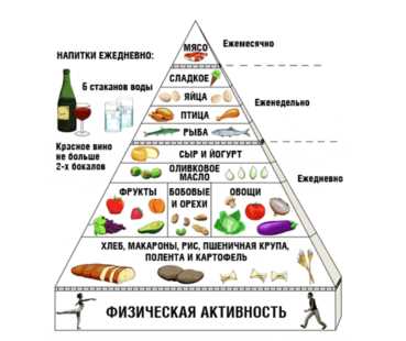 Диета Майо: основные принципы и рецепты снижения веса