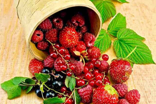 Диета применение ягод: как использовать ягоды для поддержания здоровья