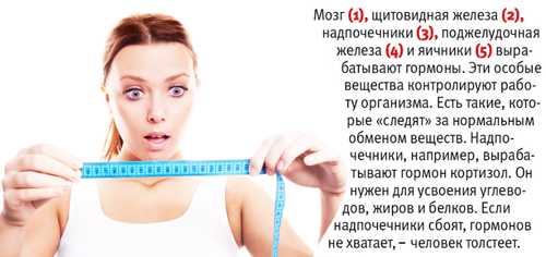 Гормональная диета: балансировка гормонов для эффективного похудения