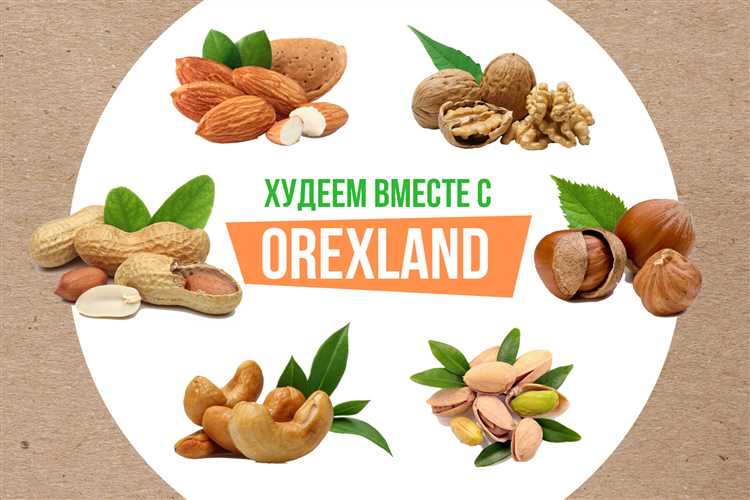 Орехи: источник полезных витаминов и минералов