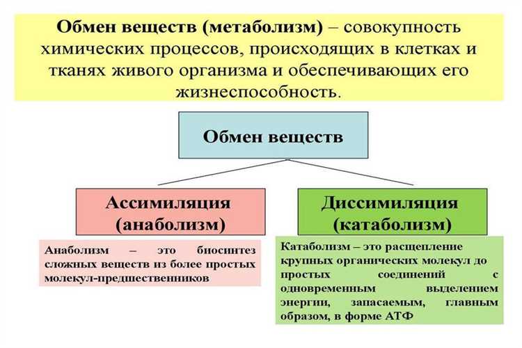 Важность правильного питания