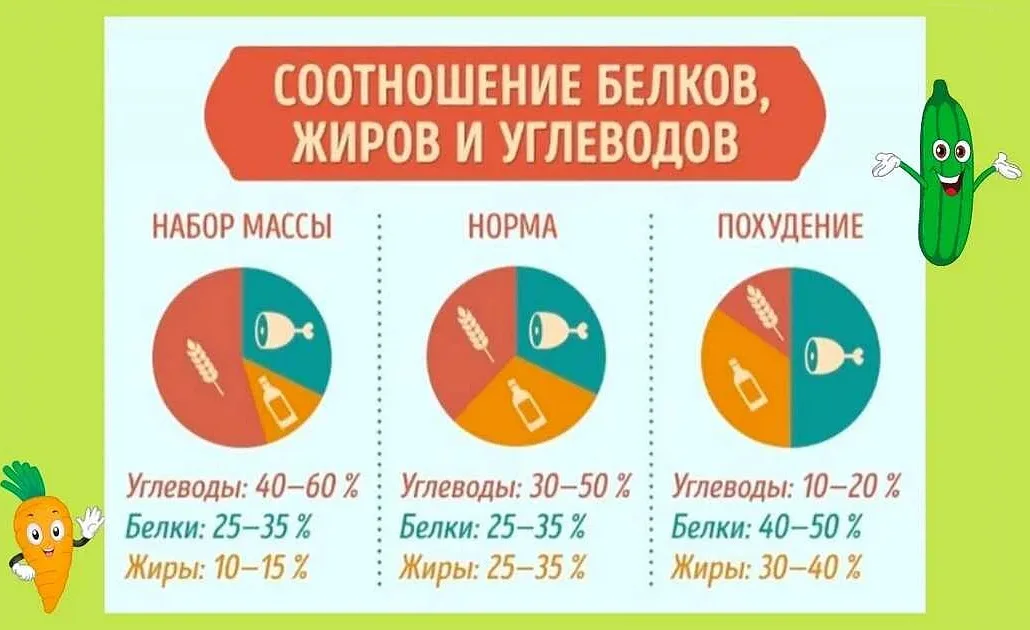 2. Увеличение потребления белка