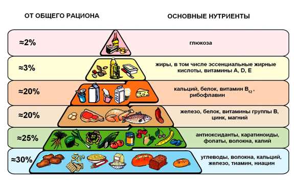 Популярные диеты на основе рационального питания