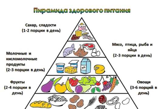 Правильное питание и здоровье: как связаны