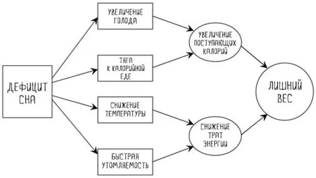 3. Богатый источник клетчатки