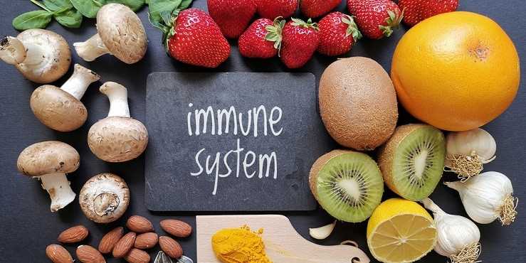 Рекомендации по диете для поддержания здоровой иммунной системы