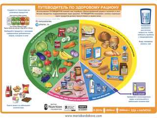 Ультрасовременная диета: что такое пищевые рекомендации Палы Маринковой?